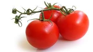 Как вырастить хороший урожай помидоров в теплице для начинающих