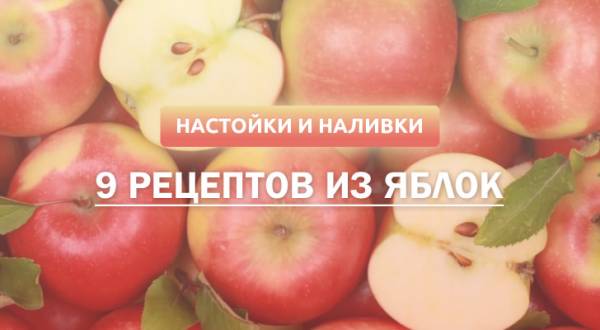 Яблочная настойка и наливка: 9 рецептов в домашних условиях