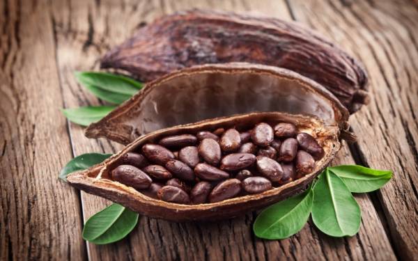 Какао-бобы начали дешеветь на мировом рынке