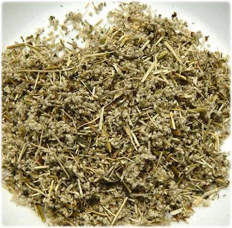 Трава пол-пала - лечебные свойства и применение