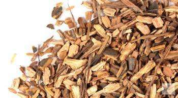 Смилакс (сассапариль) – описание с фото травы; лечебные свойства корня; использование смилакса в кулинарии и народной медицине