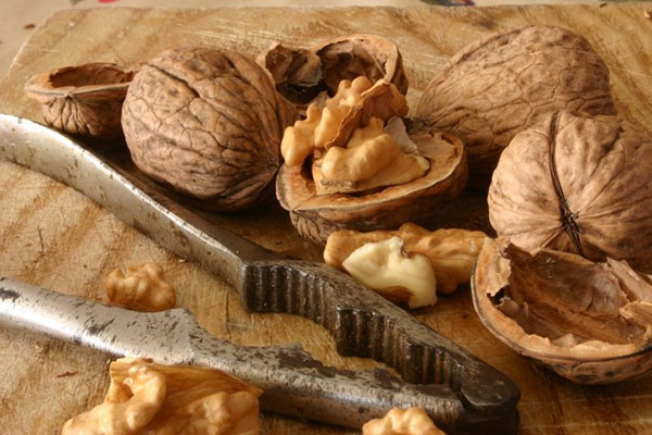 Скорлупа грецкого ореха: применение в народной медицине, в саду и в хозяйстве