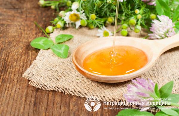 Цветочный мед - полезные свойства и секреты применения в медицине