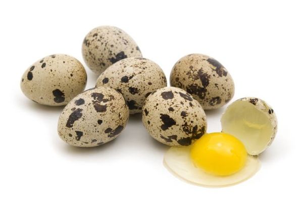 Сколько весит одно перепелиное яйцо и от чего зависит масса