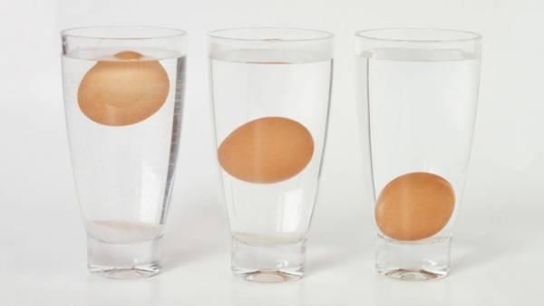 4 нехитрых способа определения свежести яиц в домашних условиях