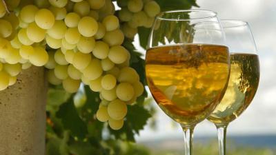 Белые сорта винограда для вина: обзор, характеристики, отзывы