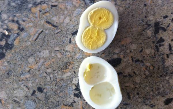 Двухжелтковые яйца у кур: причины появления и способы решения проблемы