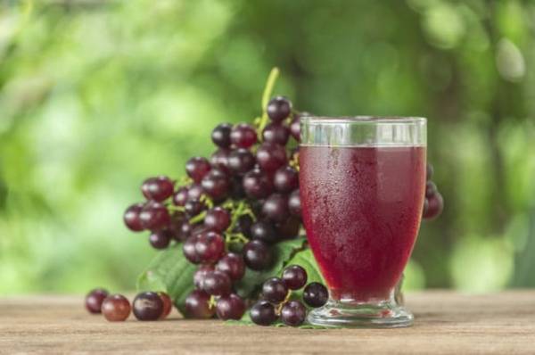 Как заготовить сок из винограда на зиму