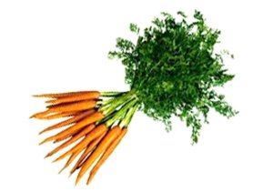 Морковь: польза и вред, калорийность