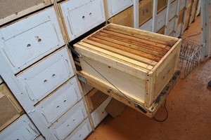 Как построить пчелопавильон самостоятельно