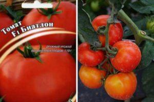 Описание сорта томата Ирина F1, его характеристика и урожайность