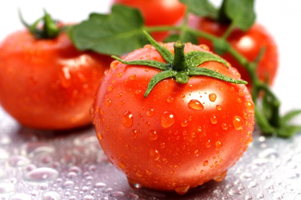 Что такое помидор: это ягода или овощ