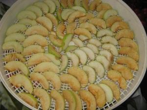 Заготавливаем сушеные яблоки на зиму
